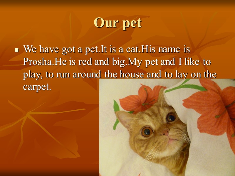 Our pet We have got a pet.It is a cat.His name is Prosha.He is